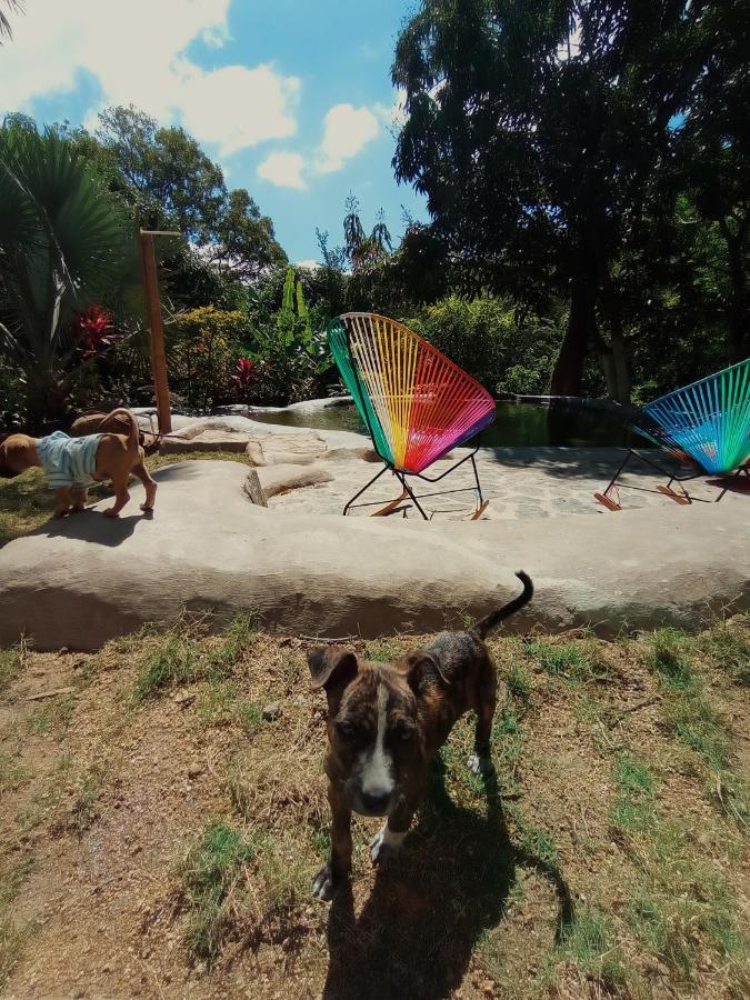 Hostal Dos Quebradas Santa Marta  Exteriér fotografie